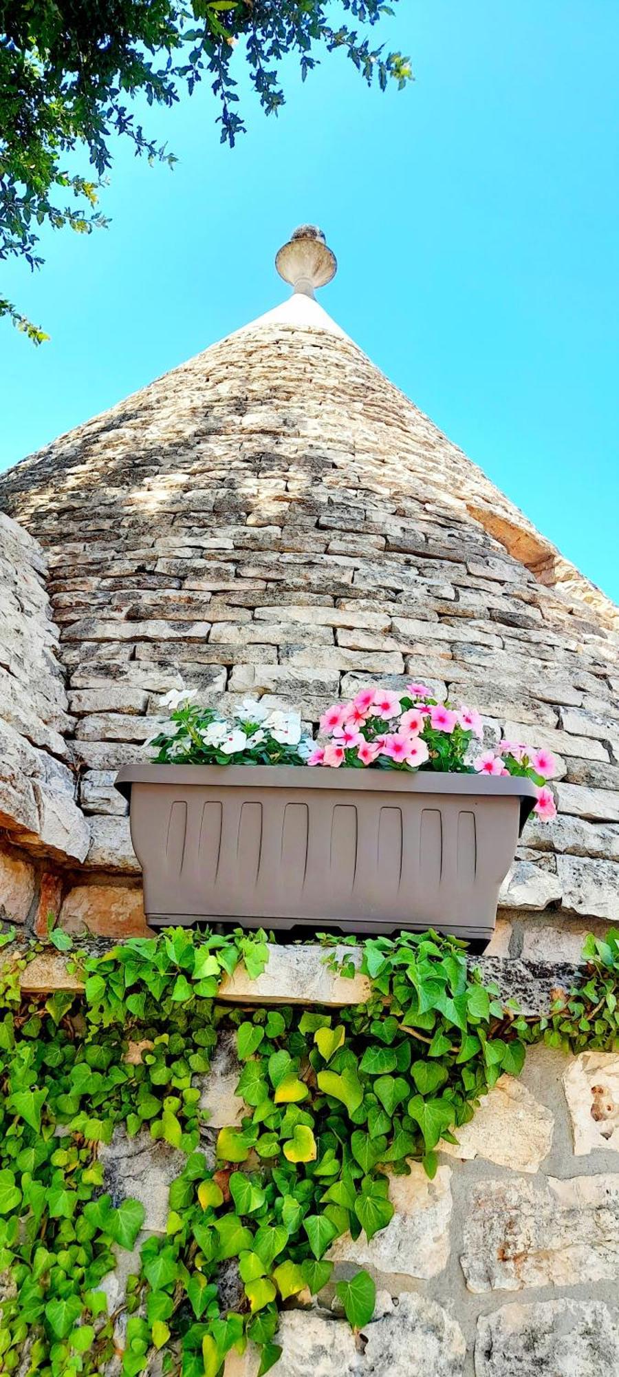 Trullo Roverella Locorotondo Εξωτερικό φωτογραφία